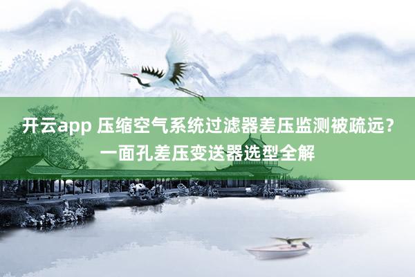 开云app 压缩空气系统过滤器差压监测被疏远？一面孔差压变送器选型全解